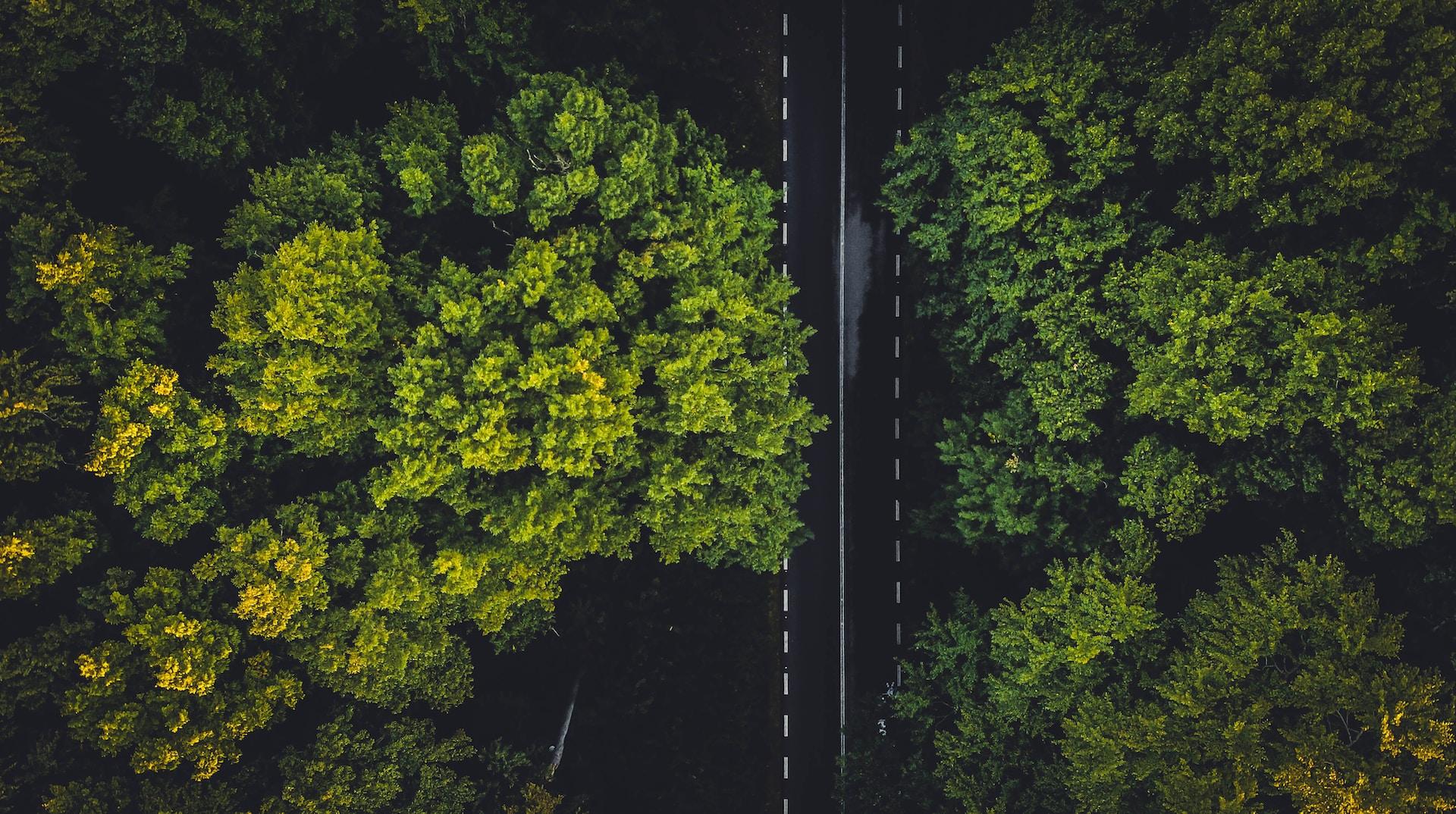 How to Make Your House Move More Eco Friendly