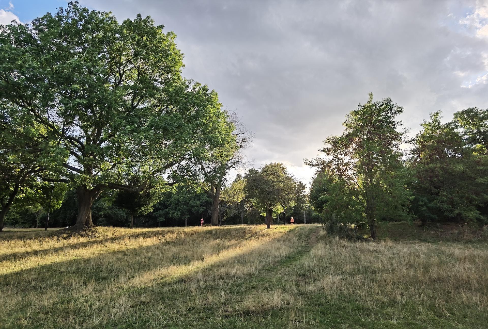 Where is nice to live in South London?